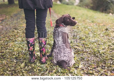 Cute german pointer and woman legs in rainboots, ready for walk in autumn park