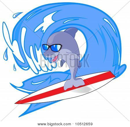 Dolphin surfař