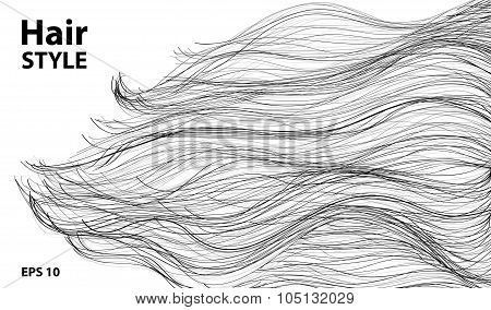 Long Black Hair. Lock, Beauty, Hairstyle, Concept