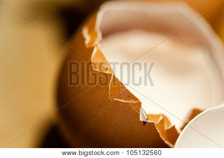 Macro Of Edge Of Empty Cracked Brown Egg Shell