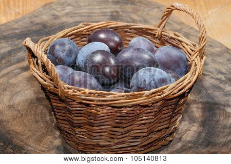 Freshly Harvested Plums