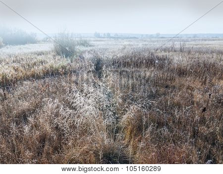 Landscape Of Dry Grass  Covered With Frost Cold Foggy Morning