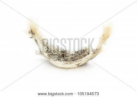 swallow birdnest isolated on white background