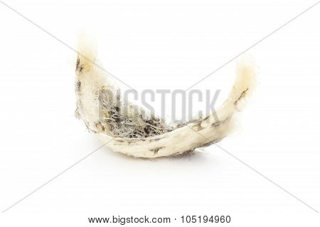 swallow birdnest isolated on white background