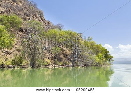 Island In Lake Baringo In Kenya.