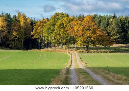Autumn in Sweden