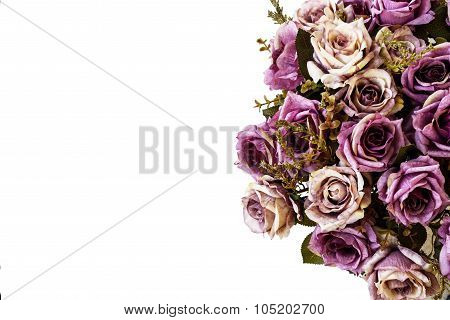 Beautiful Roses