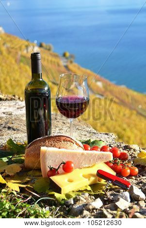 Wine and chese. Lavaux region, Switzerland