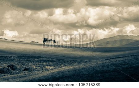 Landscape