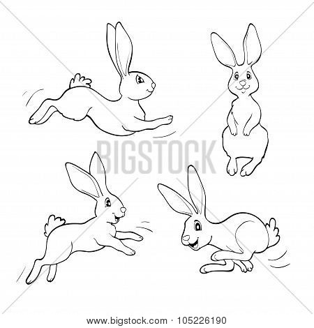 Coloring Book Or Page. Four Fanny Rabbits.