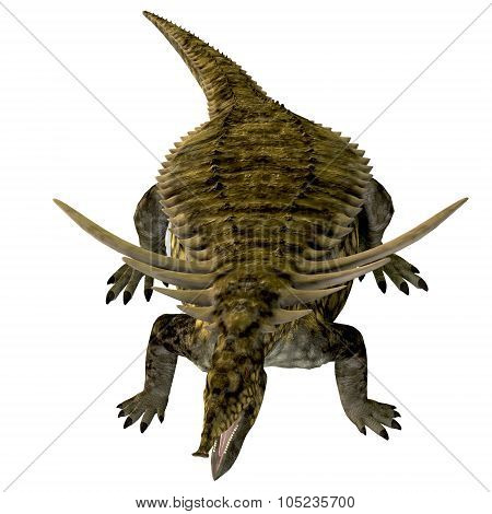 Desmatosuchus On White