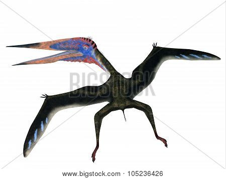 Zhejiangopterus Flying Pterosaur