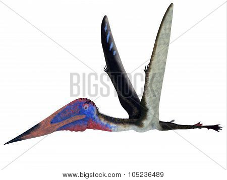Zhejiangopterus Pterosaur
