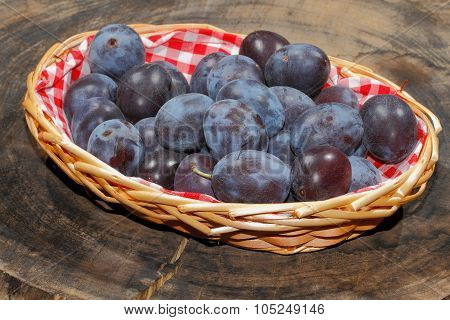 Freshly Harvested Plums