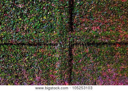 grass pattern