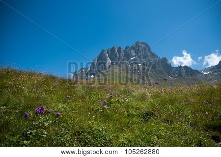 Hiking In Georgia Mountain