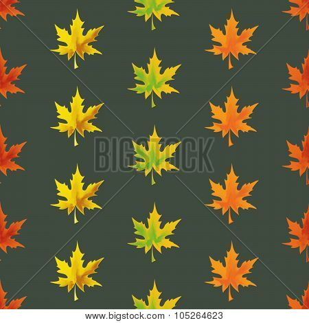 Fallen leaves