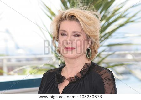 CANNES, FRANCE - MAY 12: Catherine Deneuve poses for a picture during a photocall at the 58th International Cannes Film Festival May 12, 2004 in Cannes, France