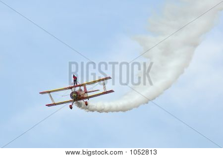 Wing Walker