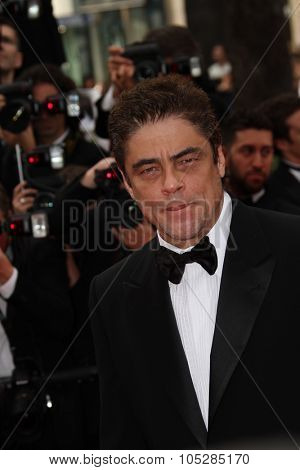 CANNES, FRANCE - MAY 12: Benicio Del Toro attend the 'Robin Hood' Premiere at the Palais des Festivals during the 63rd Cannes Film Festival on May 12, 2010 in Cannes, France