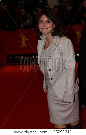  BERLIN, GERMANY - FEBRUARY 12: Susanne Bier attends the 'Side Effects' Premiere during the 63rd Berlinale Festival at Berlinale Palast on February 12, 2013 in Berlin, Germany