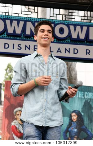 LOS ANGELES - OCT 17:  Cameron Boyce at the Stars of 