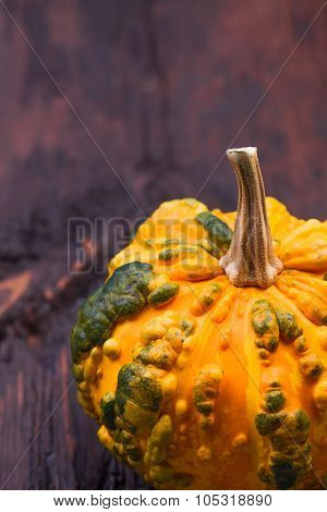 Pumpkin On A Wooden Table