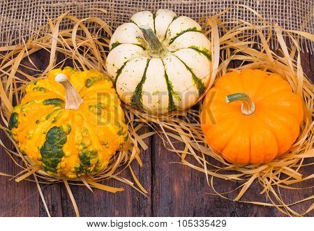 Pumpkins On A Wooden Table