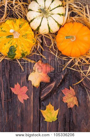 Pumpkins On A Wooden Table