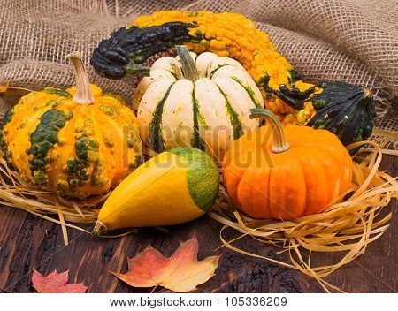 Pumpkins On A Wooden Table