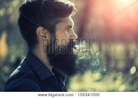 Smoking Man In Forest