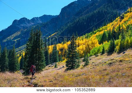 Hiker Backpacker Colorado Fall Foliage Colors