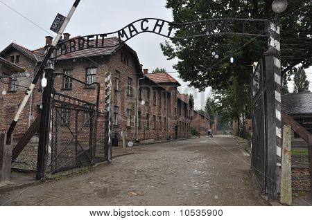 AUSCHWITZ