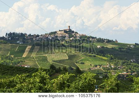 Vineyards In Oltrepo Pavese (italy)