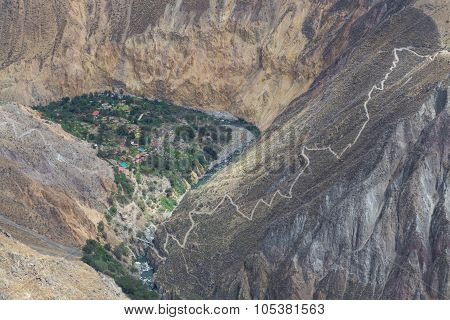 Oasis Sangalle in the Colca Canyon