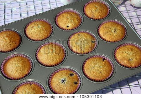 Muffin Cooked In Tray