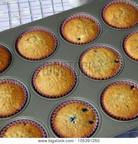 Muffin Cooked In Tray