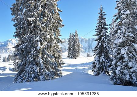 Braunwald, Switzerland