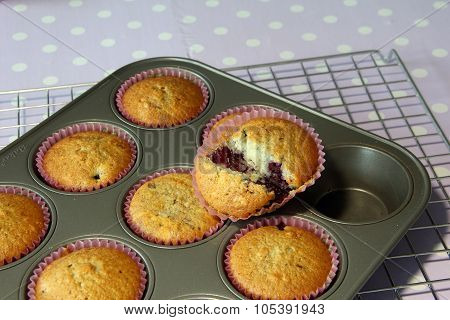 Muffin Cooked In Tray