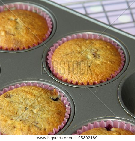 Muffin Cooked In Tray