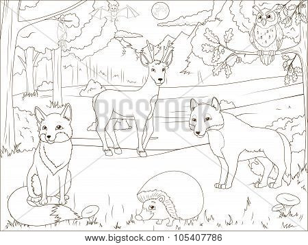Coloring book forest with cartoon animals