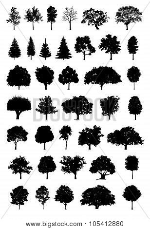 tree silhouette vector