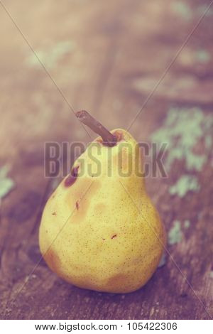 Retro Toned Ripe Pear Fruit