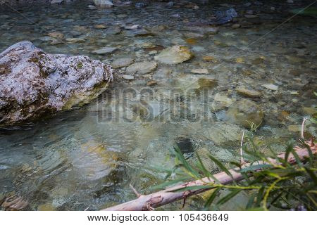 Crystal river.