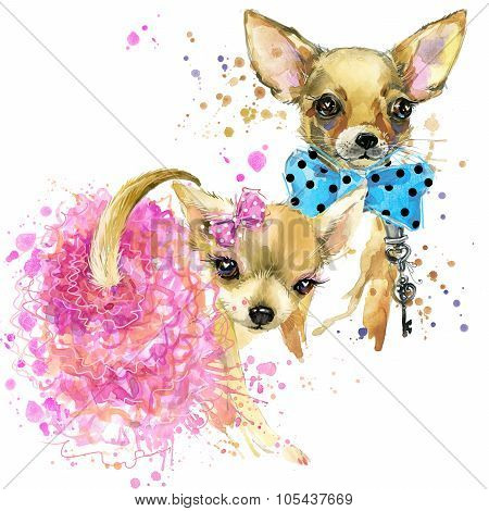 Cute dog T-shirt graphics. mini dog illustration with