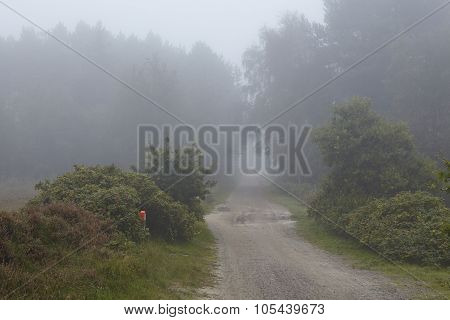 Amrum (germany) - Path At Fog