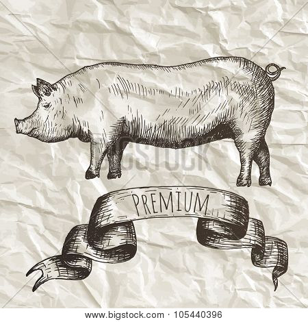 Farm collection. Hand drawn isolated elements.