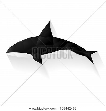 Dolphin polygonal