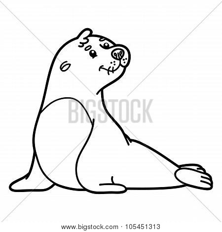 Cute seal.
