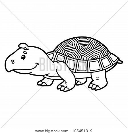 Cute turtle.